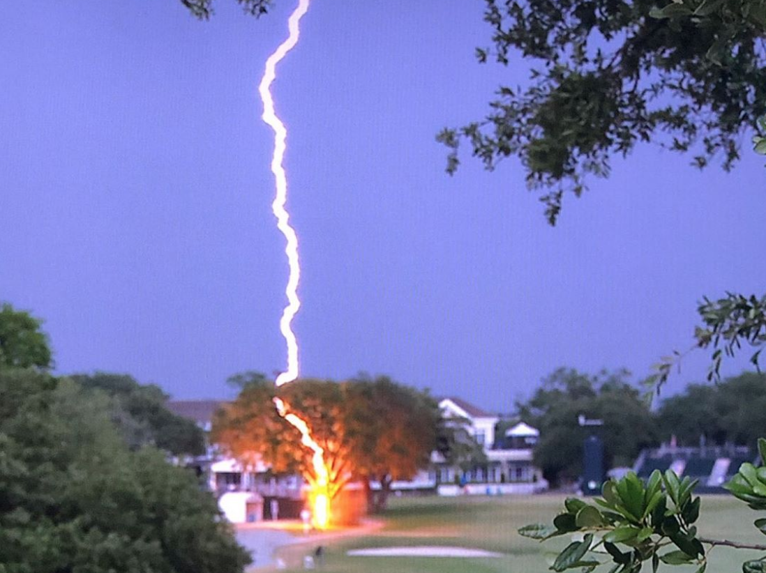 Top 76 Imagen Lightning Strike Tree Abzlocal Fi 